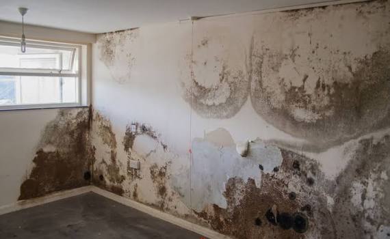 Damp patch and peeling paint on an interior wall needing treatment